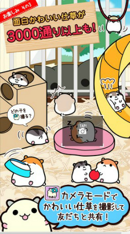 ハムスターコレクション