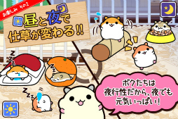 ハムスターコレクション
