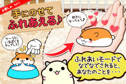 ハムスターコレクション