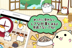 ハムスターコレクション