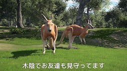 画像ギャラリー No.005のサムネイル画像 / 「ゴルフ PGAツアー 2K21」，オリジナルキャラクターで自分だけのプロゴルファー人生を歩む「キャリアモード」のトレイラーが公開