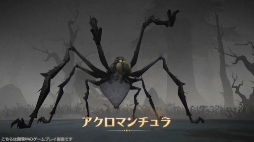 画像ギャラリー No.016のサムネイル画像 / 「ハリー・ポッター：魔法の覚醒」の世界観やバトルを紹介する最新映像が公開に。原作から10年後のホグワーツを舞台としたカードバトルRPG