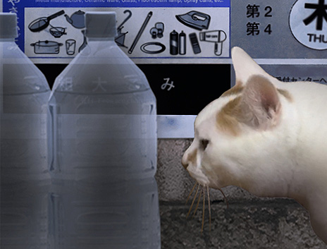 画像ギャラリー No.014のサムネイル画像 / Steam版「つぐのひ」が本日リリース。キズナアイとのコラボによる新シナリオ“アイの亡き声”を収録して登場