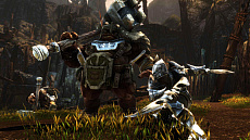 画像ギャラリー No.007のサムネイル画像 / PS4用オープンワールドアクションRPG「Kingdoms of Amalur: Re-Reckoning」の日本版が9月8日に発売