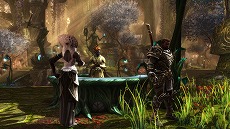 画像ギャラリー No.009のサムネイル画像 / PS4版「Kingdoms of Amalur: Re-Reckoning」のPS Plus加入者向けフリープレイが本日スタート