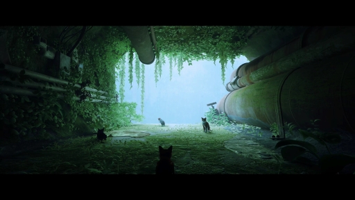 画像ギャラリー No.001のサムネイル画像 / 「Stray」は，猫が可愛いだけのゲームではない。“猫としてさまよい，人として思考する”感覚，寓話的な世界観と表現が素晴らしいアドベンチャーだ