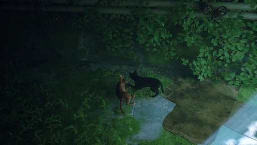 画像ギャラリー No.004のサムネイル画像 / 「Stray」は，猫が可愛いだけのゲームではない。“猫としてさまよい，人として思考する”感覚，寓話的な世界観と表現が素晴らしいアドベンチャーだ