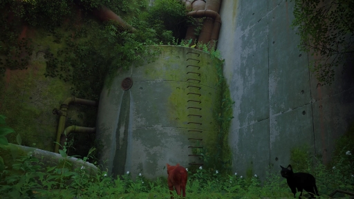 画像ギャラリー No.006のサムネイル画像 / 「Stray」は,猫が可愛いだけのゲームではない。“猫としてさまよい,人として思考する”感覚,寓話的な世界観と表現が素晴らしいアドベンチャーだ