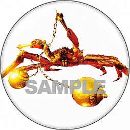 画像ギャラリー No.003のサムネイル画像 / 「カニノケンカ -Fight Crab-」，早期購入特典は「オリジナルサントラ盤」。店舗特典情報も公開