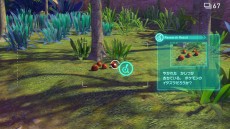 画像ギャラリー No.053のサムネイル画像 / 「New ポケモンスナップ」の最新トレイラーが公開。アイテムを駆使した撮影方法や，写真の共有機能などが明らかに
