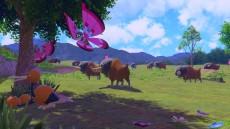画像ギャラリー No.062のサムネイル画像 / 「New ポケモンスナップ」の最新トレイラーが公開。アイテムを駆使した撮影方法や，写真の共有機能などが明らかに
