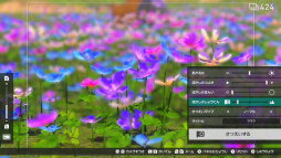 画像ギャラリー No.010のサムネイル画像 / 「New ポケモンスナップ」の“エクストラ撮影”で覚える写真のイロハ。カメラマンがポケモンをより良く見せるための基本を解説