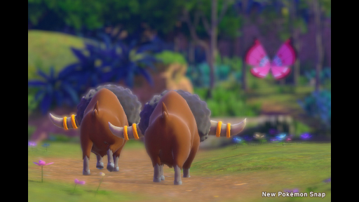 画像ギャラリー No.022のサムネイル画像 / 「New ポケモンスナップ」の“エクストラ撮影”で覚える写真のイロハ。カメラマンがポケモンをより良く見せるための基本を解説