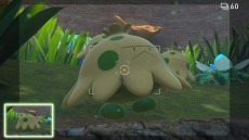 画像ギャラリー No.005のサムネイル画像 / 「New ポケモンスナップ」の無料アップデートが8月4日に配信。3か所の新エリアと20匹の新ポケモンが追加に