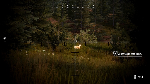 画像ギャラリー No.004のサムネイル画像 / ハンティングシム最新作「Hunting Simulator 2」がSteamでリリース。猟犬を連れて野生動物のハンティングを体験できる