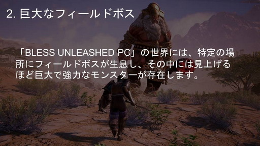 画像ギャラリー No.008のサムネイル画像 / PC向けMMORPG「BLESS UNLEASHED」実機ゲームプレイ実況&コンテンツ説明会をレポート。初公開の日本語クライアントで見た最新情報を紹介