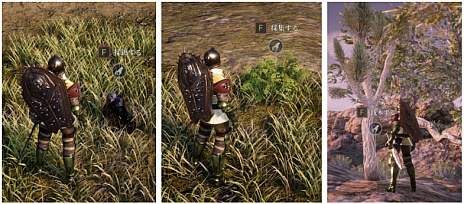 画像ギャラリー No.003のサムネイル画像 / MMORPG「BLESS UNLEASHED」のコンテンツガイド“巨大な採集物”の動画が公開