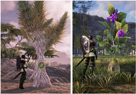 画像ギャラリー No.004のサムネイル画像 / MMORPG「BLESS UNLEASHED」のコンテンツガイド“巨大な採集物”の動画が公開