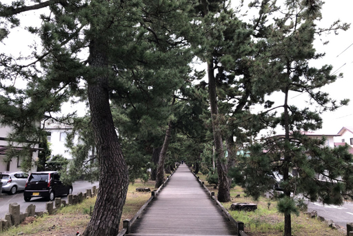 画像ギャラリー No.033のサムネイル画像 / 静岡旅行記「テクテクライフ」でGoToトラベル！　旅のお供の位置情報ゲームは今がチャンス？