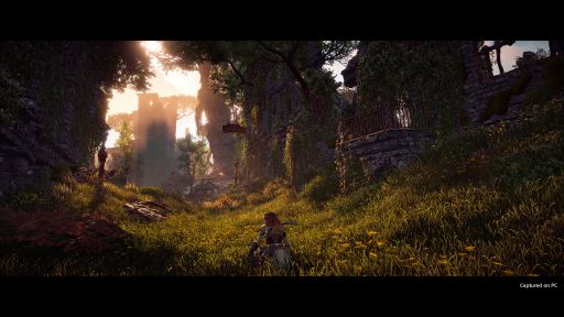 画像ギャラリー No.003のサムネイル画像 / PC版「Horizon Zero Dawn Complete Edition」が，SteamとEpic Games Storeにて8月7日に発売。DLCを同梱し，グラフィックスを強化した完全版