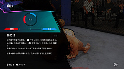 画像ギャラリー No.007のサムネイル画像 / 総合格闘技ゲームシリーズ最新作「EA SPORTS UFC 4」インプレッション。寝技システムの刷新でさらに遊びやすく