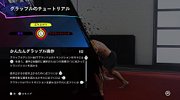 画像ギャラリー No.008のサムネイル画像 / 総合格闘技ゲームシリーズ最新作「EA SPORTS UFC 4」インプレッション。寝技システムの刷新でさらに遊びやすく