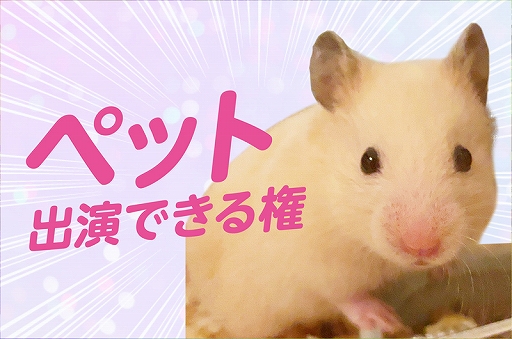画像ギャラリー No.007のサムネイル画像 / 「スーパー野田ゲーPARTY」,クラウドファウンディングプロジェクトのリターン品が複数追加
