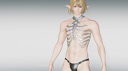 画像ギャラリー No.032のサムネイル画像 / 「NGS ver.2」,期間限定クエスト「想定演習:風夏のエアリオ攻防戦」を追加