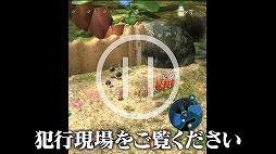 画像ギャラリー No.007のサムネイル画像 / Web番組「よゐこのピクミンでひっこぬき生活」の前編が公開。よゐこの2人が「ピクミン3 デラックス」の体験版に挑戦