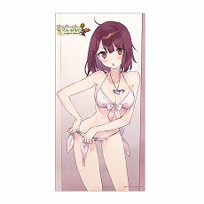 画像ギャラリー No.005のサムネイル画像 / 「コーエーテクモLIVE! in TGS2020」のスケジュールが公開。9月26日12：00からさまざまなスペシャル番組が配信