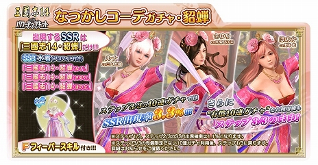 画像ギャラリー No.012のサムネイル画像 / 「三國志14 with パワーアップキット」無料アップデートや有料DLC，「DOAXVV」コラボ武将が5月27日に配信