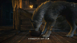 画像ギャラリー No.021のサムネイル画像 / 復讐劇の相棒がこんなにカワイくていいの!? 「FINAL FANTASY XVI」クライヴの頼れる愛狼“トルガル”のとことん写真集!