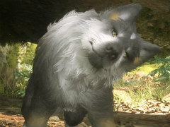 復讐劇の相棒がこんなにカワイくていいの!?　「FINAL FANTASY XVI」クライヴの頼れる愛狼“トルガル”のとことん写真集！