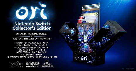 画像ギャラリー No.010のサムネイル画像 / Switch用ソフト「Ori and the Will of the Wisps」が発表。紹介トレイラーが公開