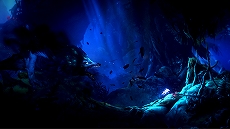 画像ギャラリー No.013のサムネイル画像 / Switch用ソフト「Ori and the Will of the Wisps」が発表。紹介トレイラーが公開