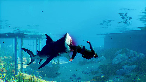 画像ギャラリー No.004のサムネイル画像 / “ShARkPG”と銘打ったサメゲー「Maneater」(PS5/PS4)の日本語版が本日発売。発売記念のRTキャンペーンや動画コンテストも開催中