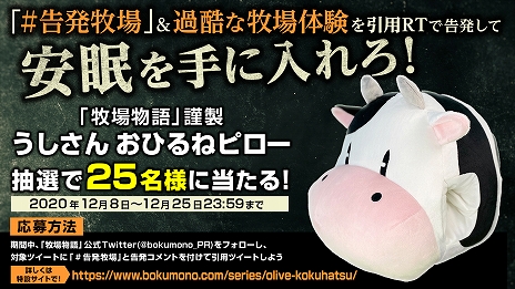 画像ギャラリー No.008のサムネイル画像 / 「牧場物語 オリーブタウンと希望の大地」，素材を使ってさまざまな物を作れる“クラフト”と，隣町“オリーブタウン”の情報が公開