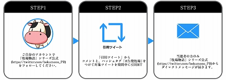 画像ギャラリー No.009のサムネイル画像 / 「牧場物語 オリーブタウンと希望の大地」，素材を使ってさまざまな物を作れる“クラフト”と，隣町“オリーブタウン”の情報が公開