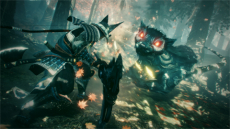 画像ギャラリー No.010のサムネイル画像 / PS5版「仁王」「仁王2」が2021年2月4日発売決定。DLC全部入り，パフォーマンスの向上が図られ，DualSenseの新機能にも対応