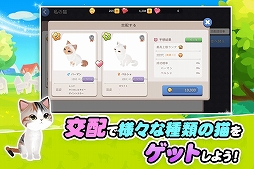 ごろごろこねこ