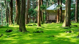 画像ギャラリー No.003のサムネイル画像 / 「風雨来記4」に新たに岐阜を中心とした8つの県の隣接エリアが追加