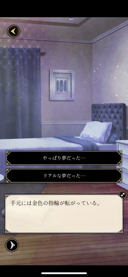 画像ギャラリー No.013のサムネイル画像 / 「悪魔執事と黒い猫」を紹介。ある存在と戦う13人の個性的な執事にサポートされる日々が楽しめるスマホアプリ