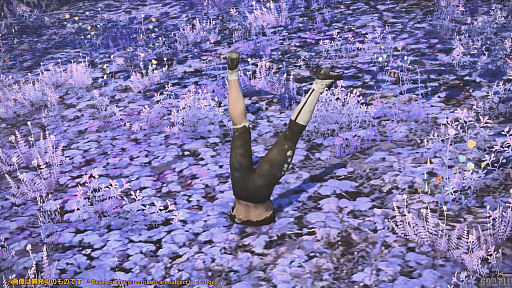 画像ギャラリー No.015のサムネイル画像 / 「FFXIV」第69回プロデューサーレターLIVEレポート。パッチ6.1に加えて，データセンタートラベルやデータセンター再編の情報も明らかに