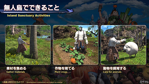 画像ギャラリー No.083のサムネイル画像 / 「FFXIV」第72回プロデューサーレターLIVEレポート。「無人島開拓」や「ヴァリアントダンジョン」など，新コンテンツの詳細が明らかに