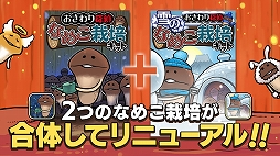 画像ギャラリー No.005のサムネイル画像 / 「元祖なめこ栽培キット」が6月30日にリリース
