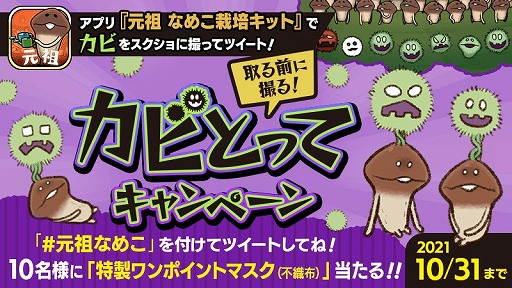 画像ギャラリー No.001のサムネイル画像 / 「元祖 なめこ栽培キット」,特製マスクが当たるTwitterキャンペーンを実施