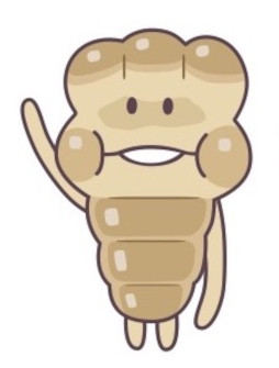 画像ギャラリー No.007のサムネイル画像 / “なめこのどんぶり”が当たるTwitter キャンペーン「なめこ春の菌まつり」が開催
