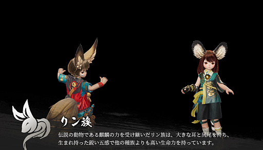 画像ギャラリー No.012のサムネイル画像 / 8月23日に正式サービス開始!「ブレイドアンドソウル2」をより楽しむための基礎知識。PC版ブレソとつながる世界やシステムを紹介【PR】
