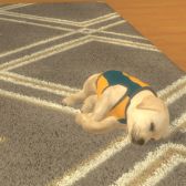 画像ギャラリー No.002のサムネイル画像 / 「with My DOG - 犬とくらそう -」がiOS向けに配信開始。子犬とのふれ合いはもちろん,AR撮影機能で写真や動画も楽しめる育成SLG