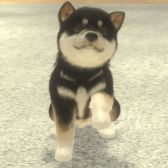 画像ギャラリー No.003のサムネイル画像 / 「with My DOG - 犬とくらそう -」がiOS向けに配信開始。子犬とのふれ合いはもちろん,AR撮影機能で写真や動画も楽しめる育成SLG